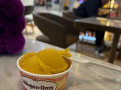 -哈根达斯(青岛海信店)
