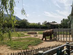 -西安秦岭野生动物园