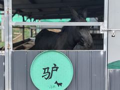 -元鼎宝驴香·全驴宴(江宁店)