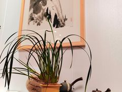 -致明德素食餐厅(土屋路店)