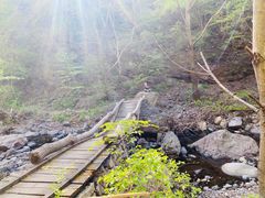 -云岫谷自然风景区