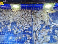 -欢乐海岸美食联盟