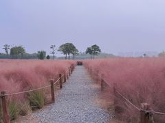 -汉长安城未央宫国家考古遗址公园