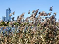 -长春市南湖公园