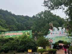 -木兰云雾山