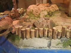 -正佳雨林生态植物园