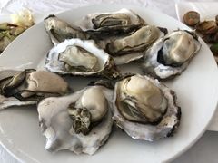 -渔民船说·北塘海鲜·天津菜·海肠捞饭(北塘古镇店)