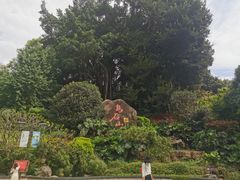 -乌山风景区