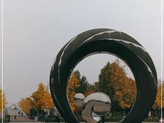 -大兴滨河森林公园