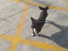 -水晶之星洗浴温泉汗蒸