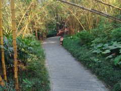 -水濂山森林公园