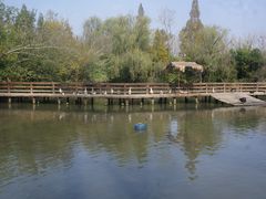 -溱湖国家湿地公园