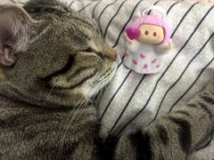 -名创优品(北京NTP新城广场店)