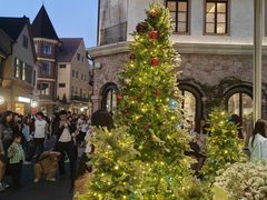 -中旅阿那亚九龙湖·公主酒店