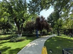-成飞公园