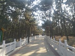 -林海公园