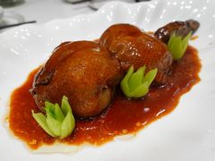 -丁老爷子苏香圆