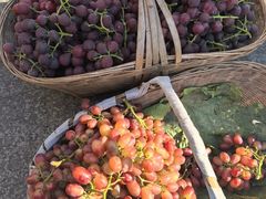 -南坛综合农贸市场