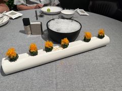 -柿合缘新京菜(国金中心商场店)