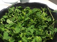 -东椰·海南椰子鸡火锅(朝阳门店)