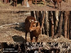 -宁波野生动物园
