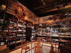-Wine Universe 宇宙酒馆