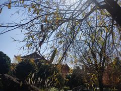 -崇圣寺三塔文化旅游区