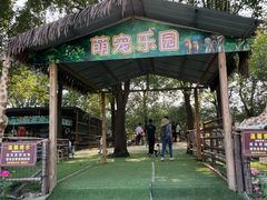 -秀丽东方