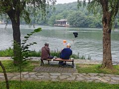 -紫霞湖公园