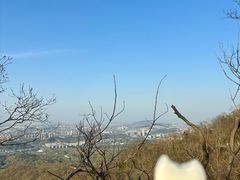 -紫金山山顶公园