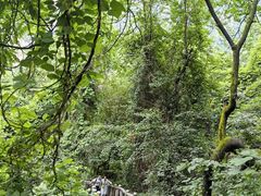 -秦岭终南山世界地质公园翠华山景区