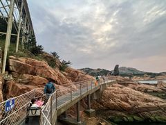 -西霞口神雕山野生动物世界