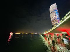 -演武大桥观景平台