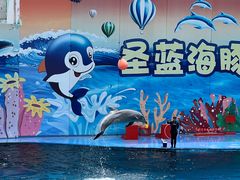 -北戴河圣蓝海洋公园