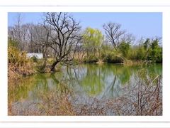 -西溪国家湿地公园