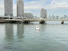 -台场海滨公园船码头