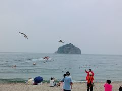 -棒棰岛宾馆景区