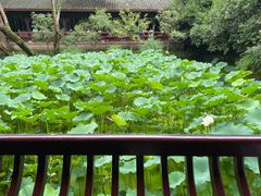 -成都武侯祠博物馆