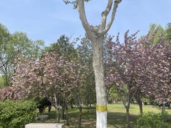 -石家庄市植物园