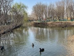 -长白岛森林公园