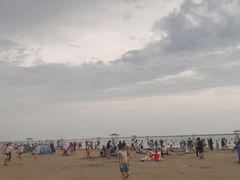 -碧海金沙