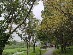 -洋湖国家湿地公园