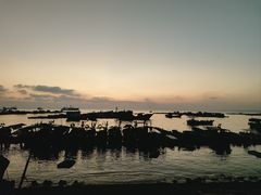 -硇洲岛旅游区