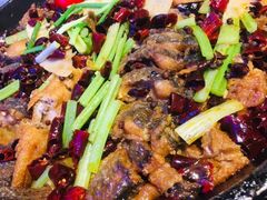 -老板恋上鱼(恒隆广场店)