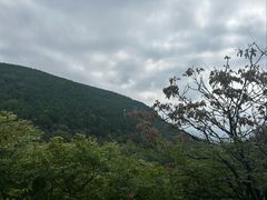 -青檀寺景区