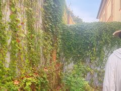 -青岛德国监狱旧址博物馆