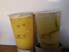 -一树一叶·福建茶档(石鼓路店)
