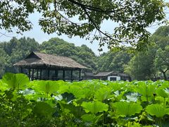 -兰亭风景区