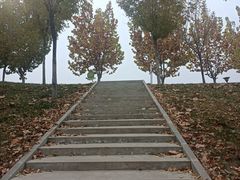 -瀛海足球主题公园