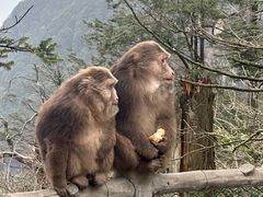 -峨眉山风景名胜区
